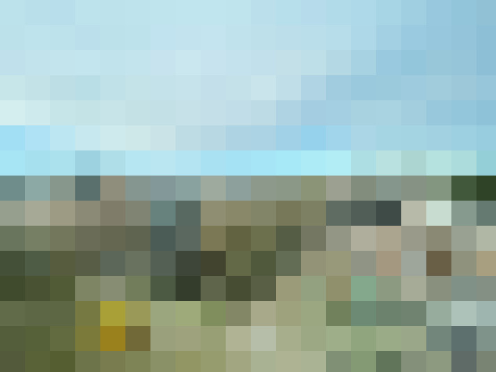 Image 22