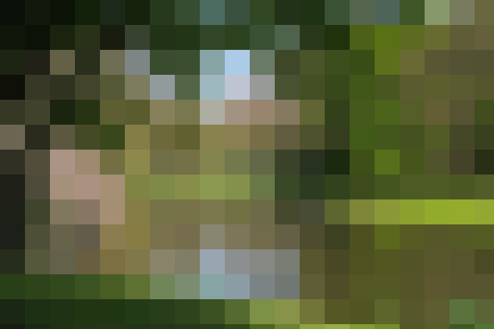 Image 17