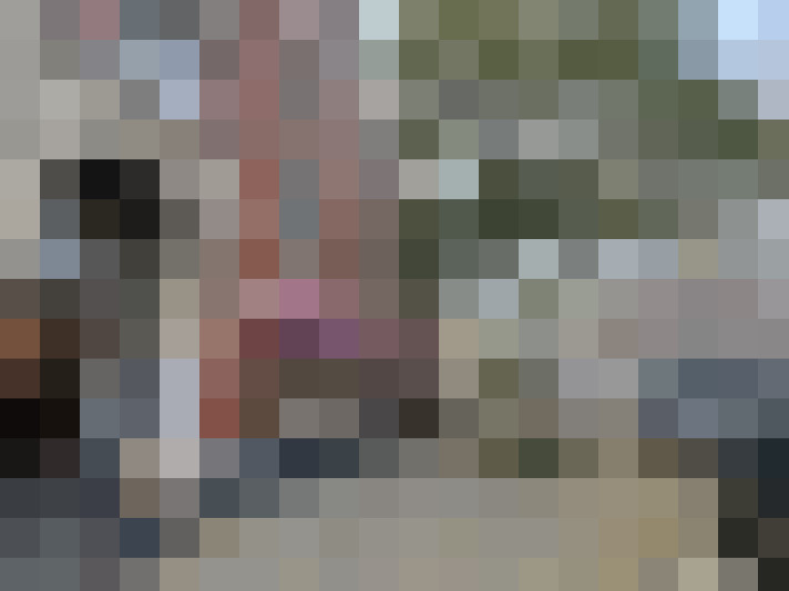 Image 16