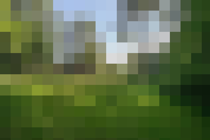 Image 20