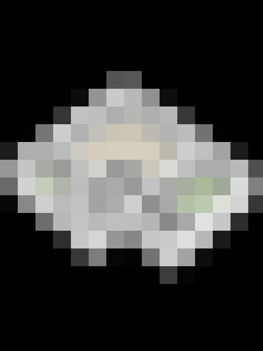 Image 29