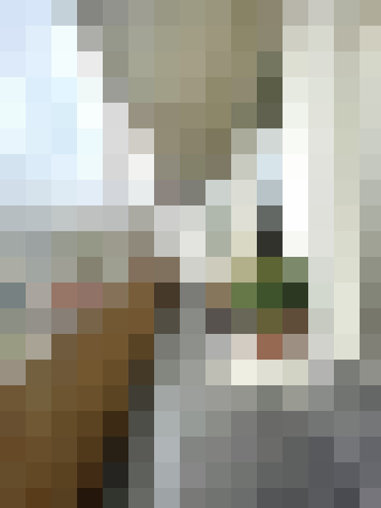 Image 14