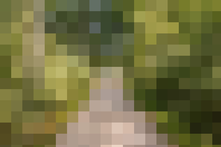 Image 26