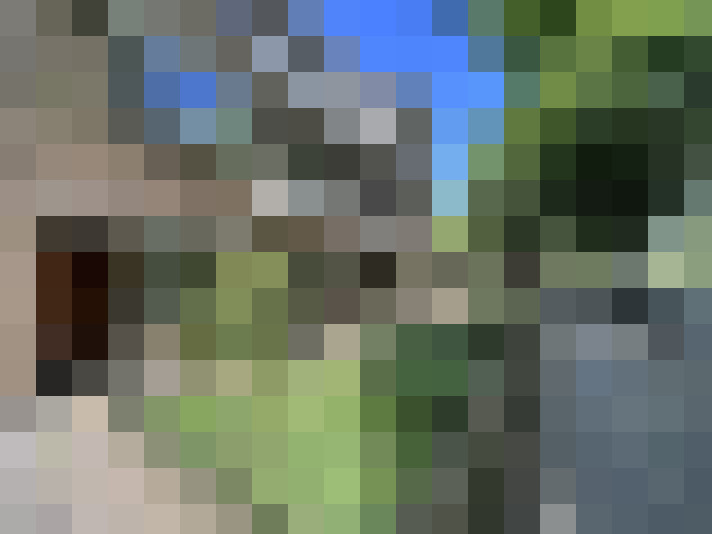 Image 24