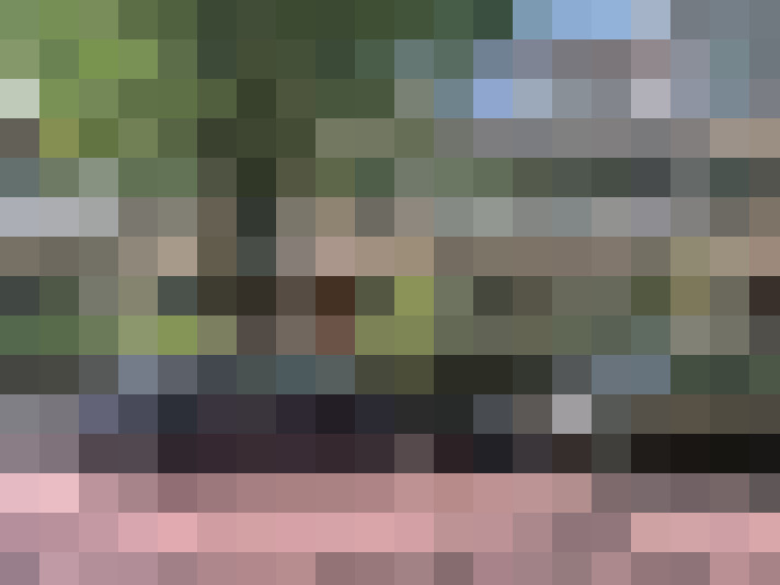 Image 25