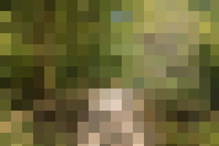 Image 27