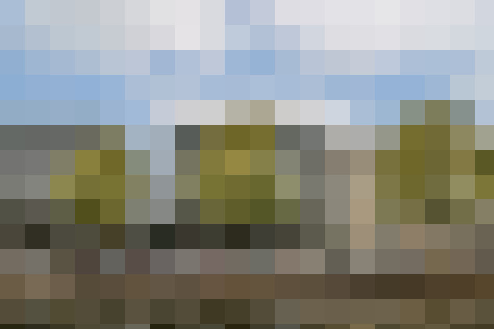 Image 31