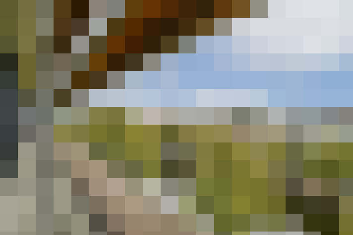 Image 24