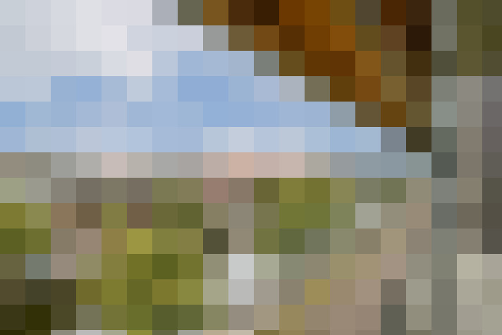 Image 22