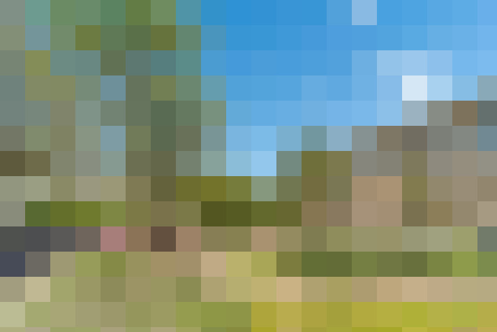 Image 23