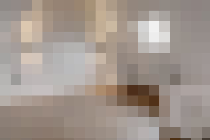 Image 40