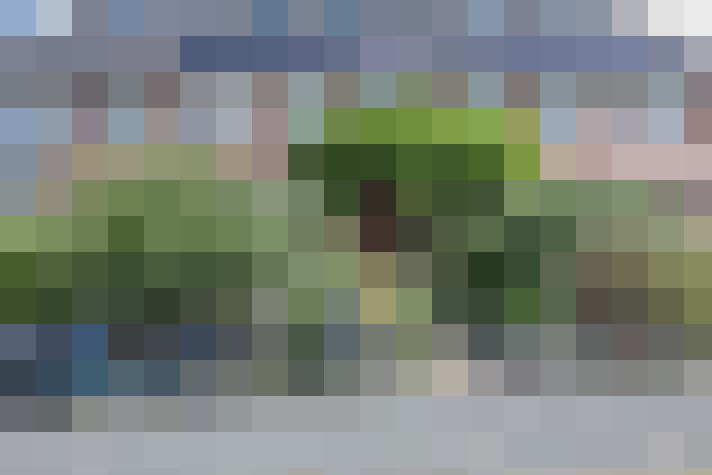 Image 48