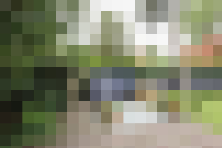 Image 37