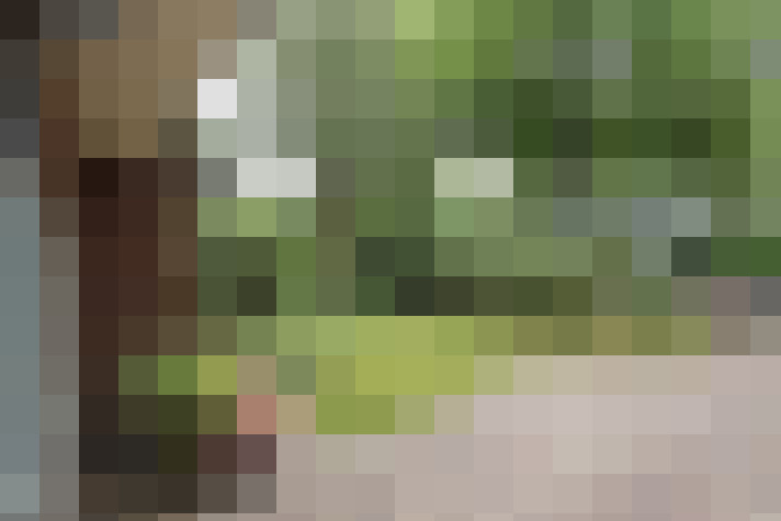 Image 36