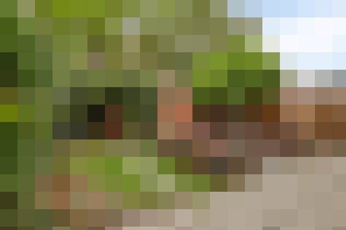 Image 14