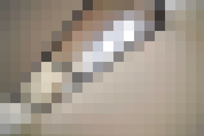 Image 33