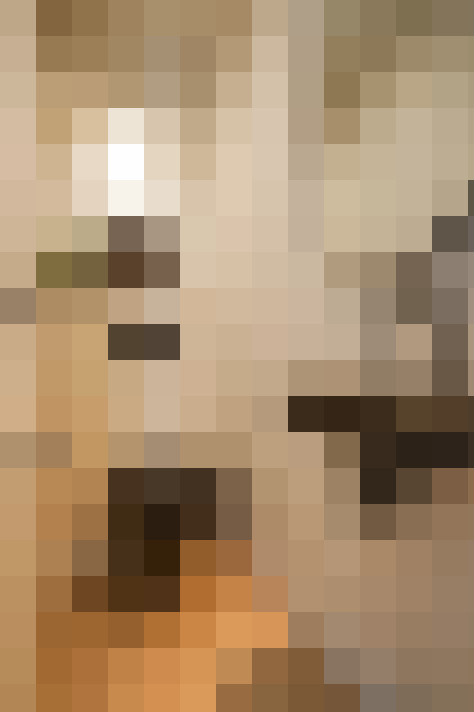Image 22