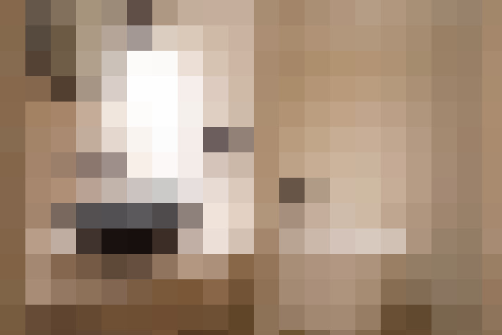 Image 40