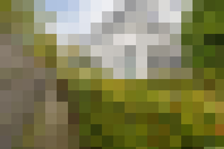 Image 41