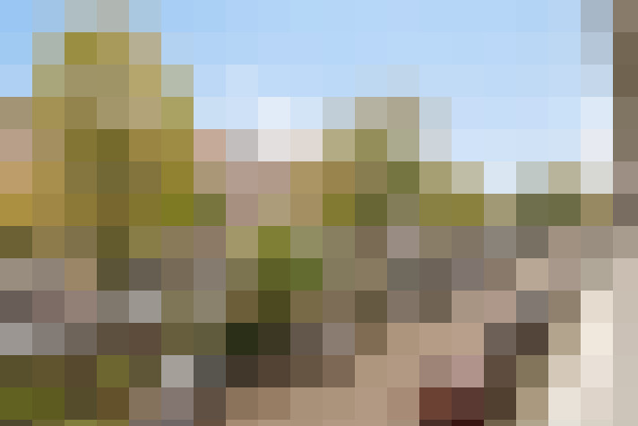 Image 22