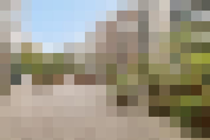 Image 30