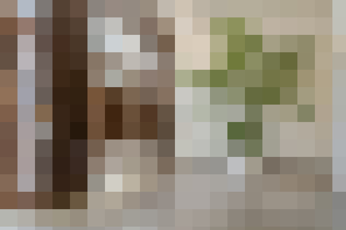 Image 32