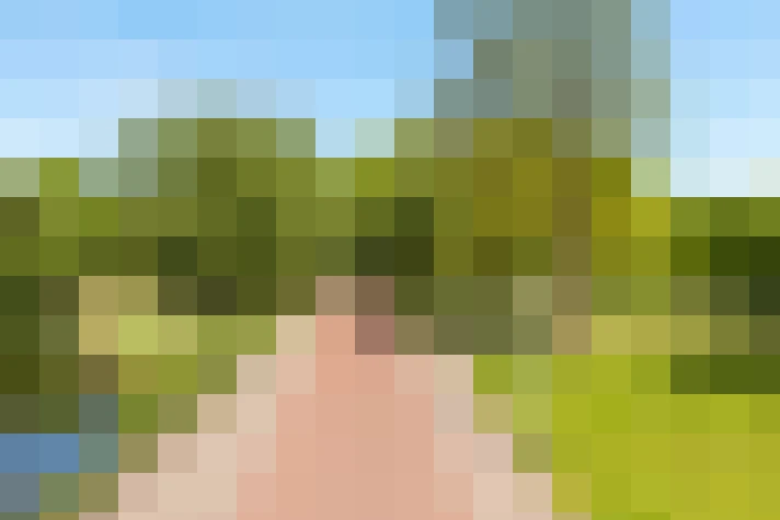 Image 22