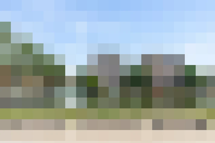 Image 21