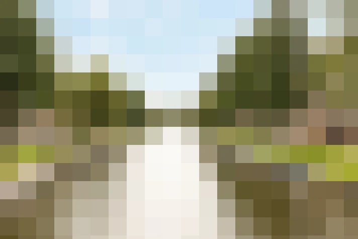 Image 23