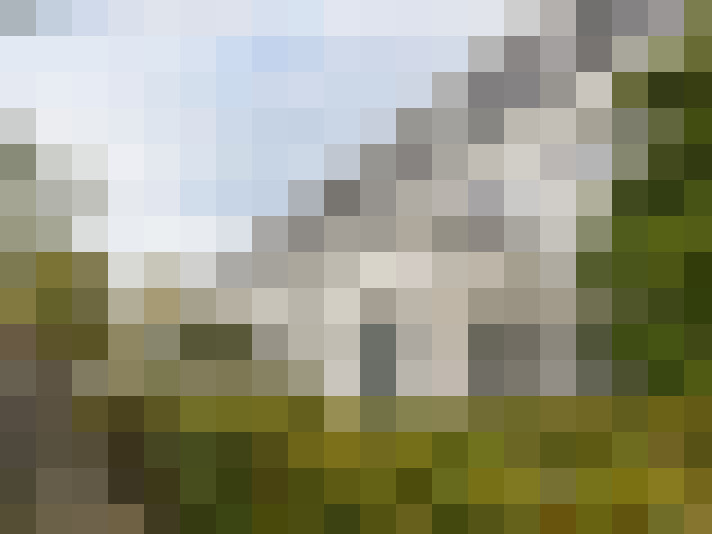Image 28