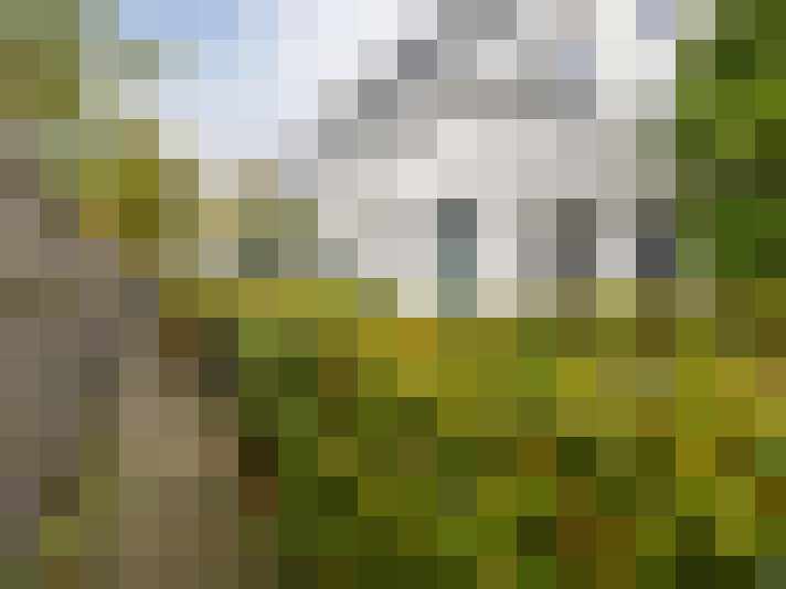 Image 41