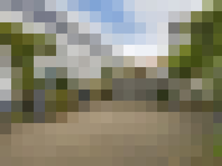 Image 40