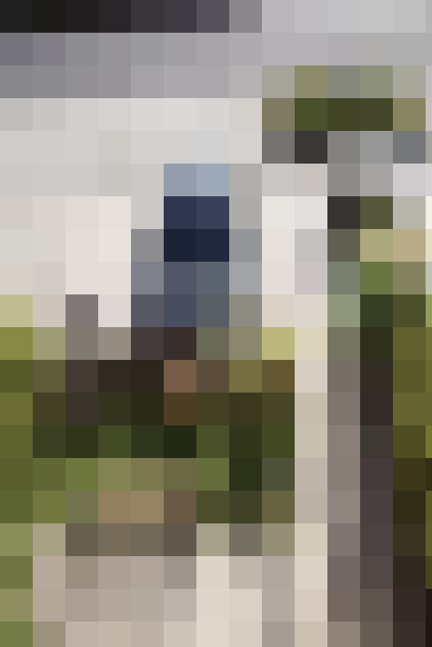 Image 41