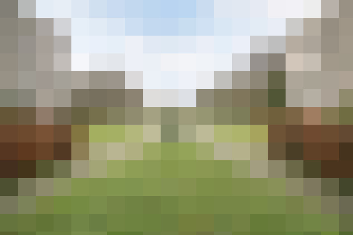 Image 14