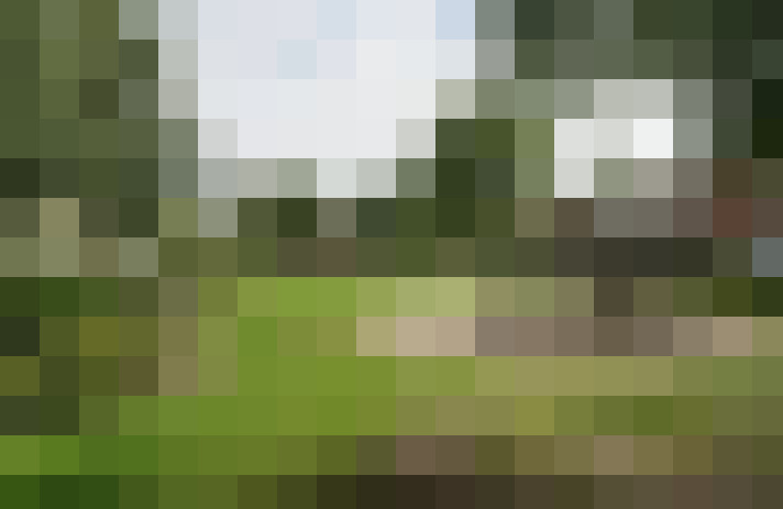Image 30