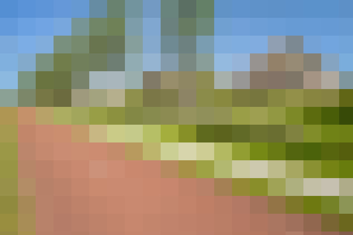 Image 41