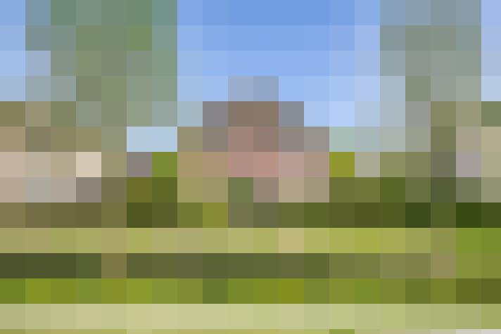 Image 38