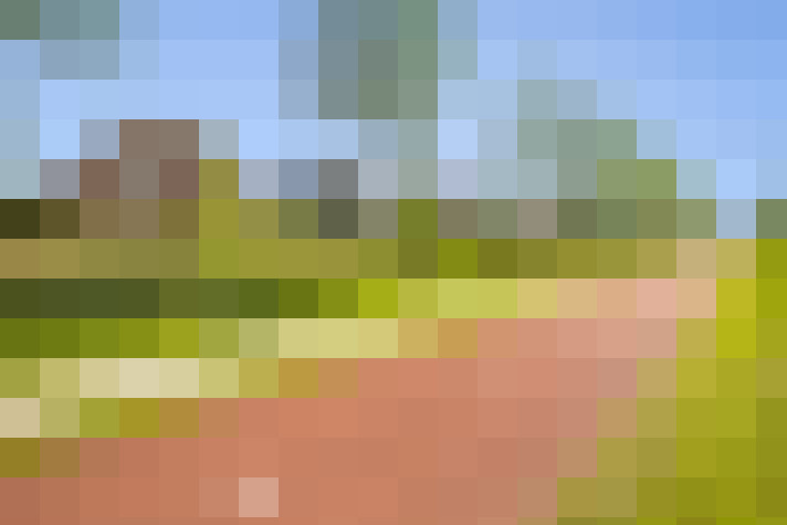 Image 39