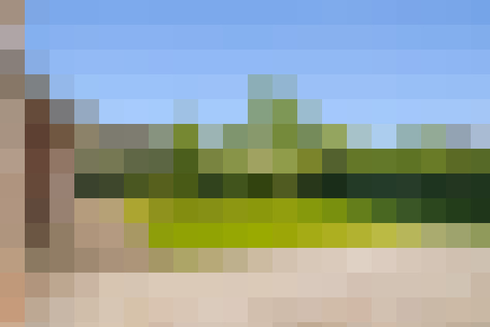 Image 33
