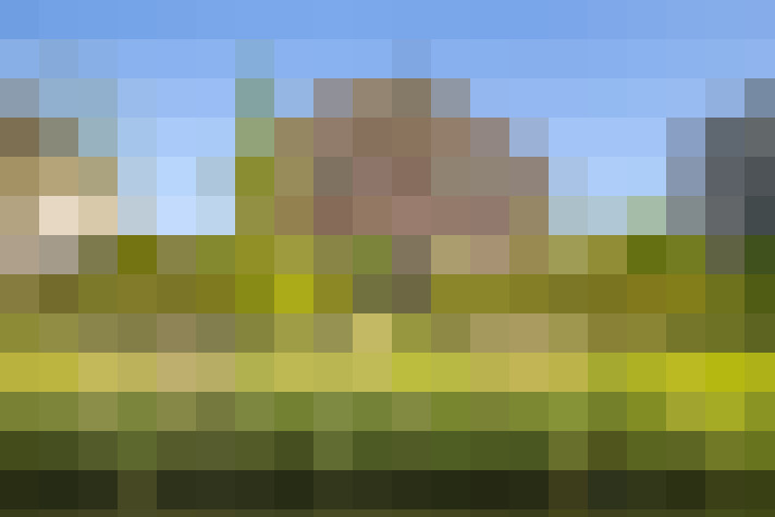 Image 40
