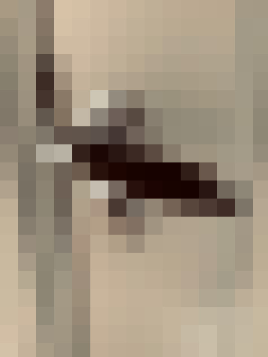 Image 17