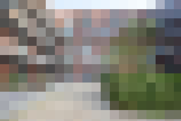 Image 29