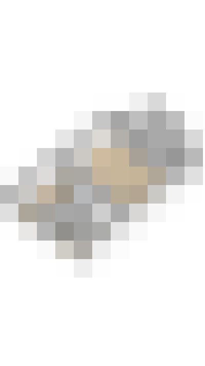 Image 47