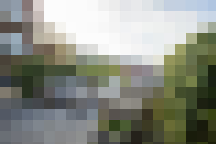 Image 36
