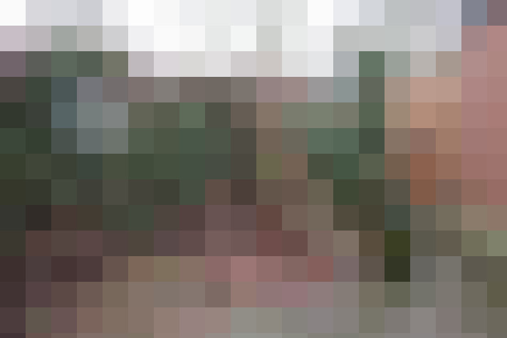 Image 22