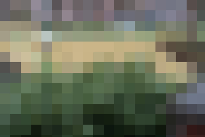 Image 33