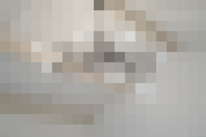 Image 13