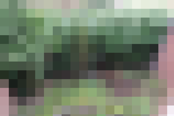 Image 32