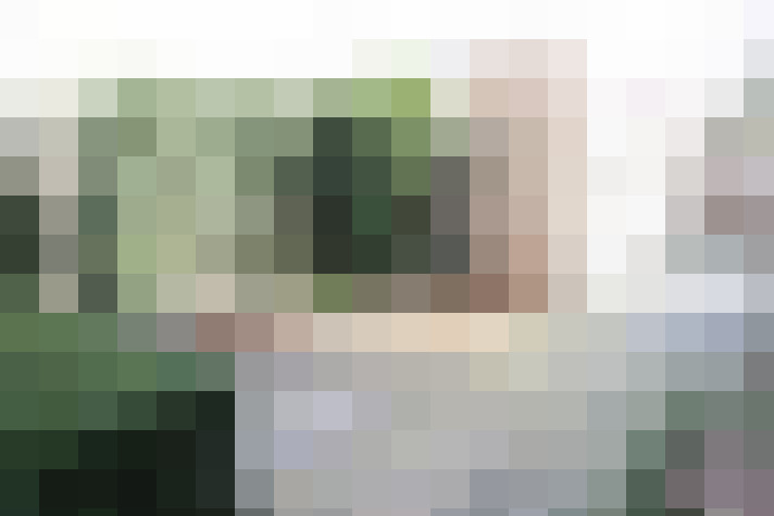 Image 22