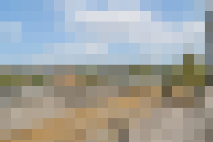 Image 26